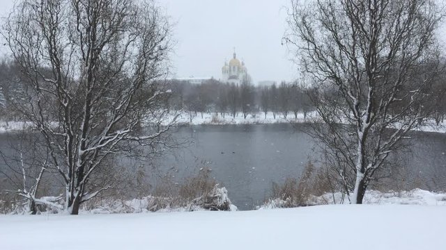 A snowstorm in a city park near the lake