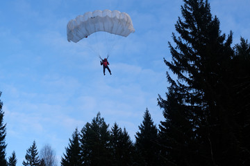Accuracy skydiving. A skydiver is landing in the forest.