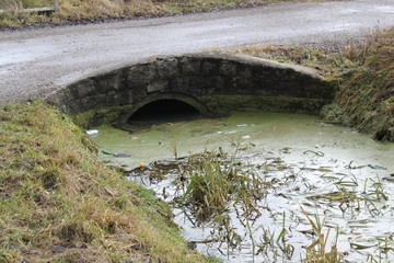 Plastikmüll schwimmt im Fluss