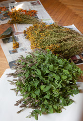 Piles of medical herbs sorted and drying on the floor for traditional herbal tea 
