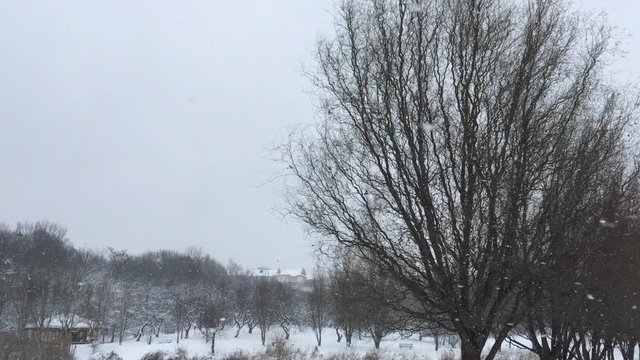 The city park is snow-covered