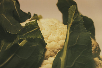 A green cauliflower with white background
