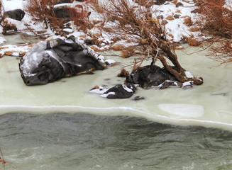 Frozen snowy black rock on the river bank with trees.