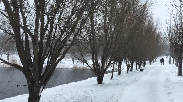 Single couples stroll through the winter park