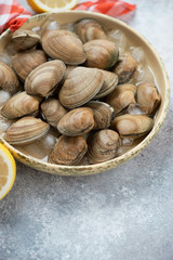 Close-up of iced uncooked vongole in a serving pan, vertical shot on a beige stone surface