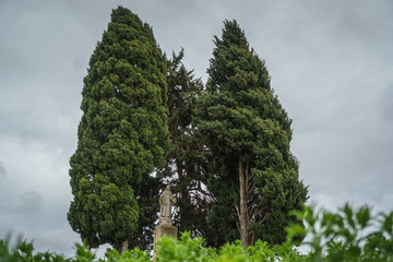 Statue of the Sacred Heart of Jesus under the trees