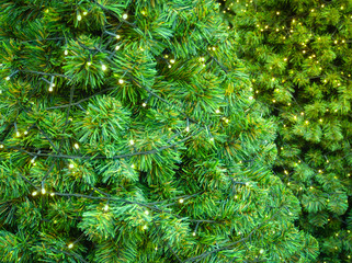 Green fake Christmas tree branches shaping a festive pine tree with yellow decorative light bulb. Selective of  illuminated artificial Christmas trees.