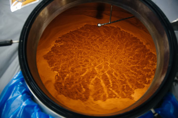 Opened brewing vat. Fermentation of beer wort inside