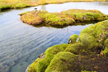 Thingvellir iceland
