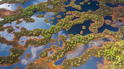Aerial view over peat-bog landscape with the complex lake and  pool ridge patterns. Estonia is 2nd most boggy country in Europe. Peatland are important as pool of biodiversity and CO2 deposit.
