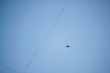Consumer drone on flight in air with the migratory crane flock in the background