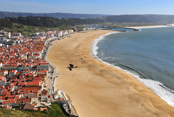 Top view of the beach and Nazare town
