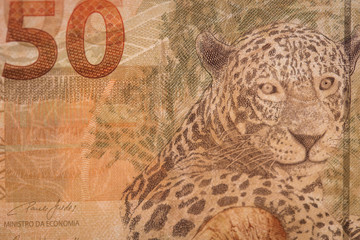 Brazilian Currency Notes Detail - Real