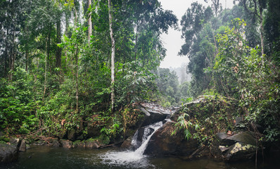 Beautiful waterfall in deep forest at Khao Lak-Lam Ru National Park, Phang-nga, Thailand.