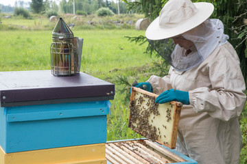 Female beekeeper inspecting the beehives in summer bee production