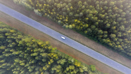 Conceptual aerail top down image of the highway cutting through the natural woodland habitat
