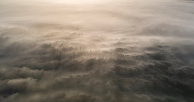 Aerail view on the textured waves of fog , rolling over peat bog edge and pine dunes landscape and painted by the early morning golden sunlight 