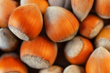 a bunch of hazelnuts, macro, flat lay