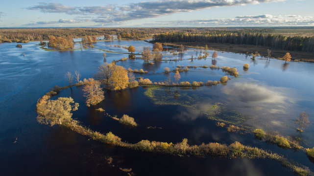 Aerail view over flooded rive plain and river bends marked with the autumn colored plants and trees in Soomaa national park, Estonia