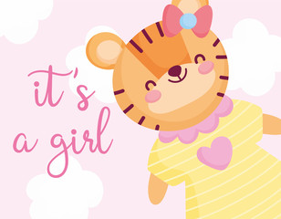 boy or girl, gender reveal its a girl cyte tiger with dress and bow