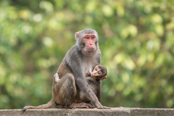 Different eyes different emotions