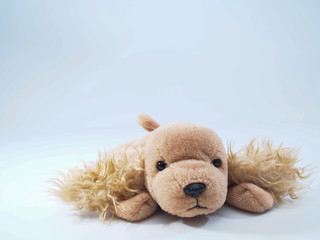 Children's toys-old brown puppy doll