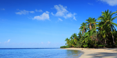 Fototapeta na wymiar Green palm trees on caribbean beach. Travel background.