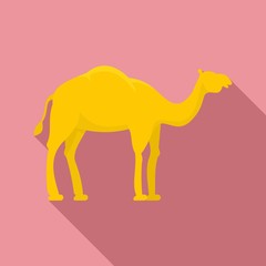 Egypt camel icon. Flat illustration of Egypt camel vector icon for web design