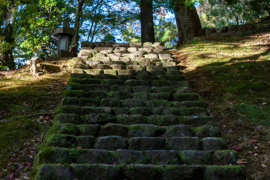 528 Best 石階段 Images Stock Photos Vectors Adobe Stock