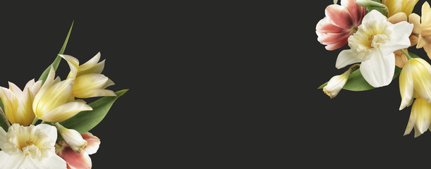 Floral banner, header with copy space. Pastel yellow and white daffodil, tulips bouquets isolated on dark grey background. Natural spring flowers wallpaper or greeting card.