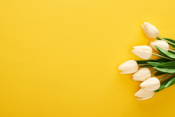 top view of spring tulips on colorful yellow background