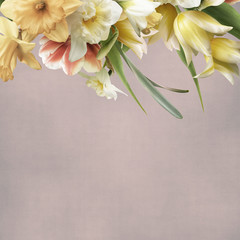 Floral card with copy space. Pastel yellow and white daffodil, tulips bouquets on textured background. Bouquet of spring flowers.