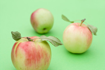 Juicy apples on green background