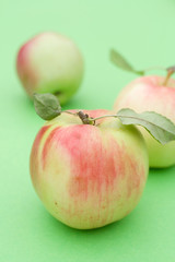Juicy apples on green background