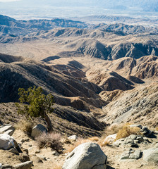Keys View, Joshua Tree National Park