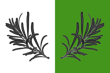 Rosemary leaves black silhouette isolated on white and green background. Rosemary flat icon, sign, symbol. Herb and spice plant for cooking ingredient, package, vegetable emblem or logo. Stock vector