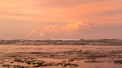 Sunset on the black sand beach of Puerto Viejo, Costa Rica