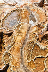 Mammoth Hot Springs in Yellowstone National Park