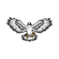 falcon, eagle flying bird vector