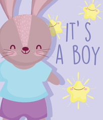 boy or girl, gender reveal its a boy cute rabbit stars cartoon card