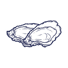 Oyster shell ocean animal vector