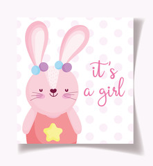 boy or girl, gender reveal its a girl rabbit with dress dotted background card