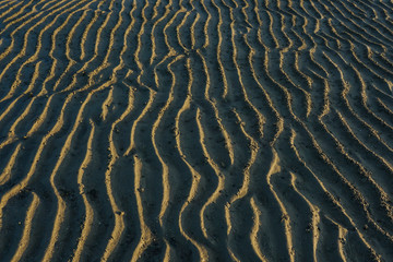 Fototapeta na wymiar Brown sand texture with sunrise shadow for background purpose..