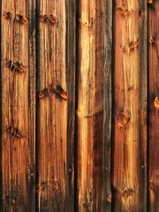 Wood fiber background, texture of bright wood.