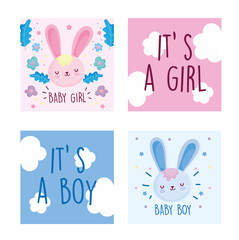 boy or girl, gender reveal cute rabbits flowers decoration cards