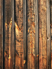 Wood fiber background, texture of bright wood.