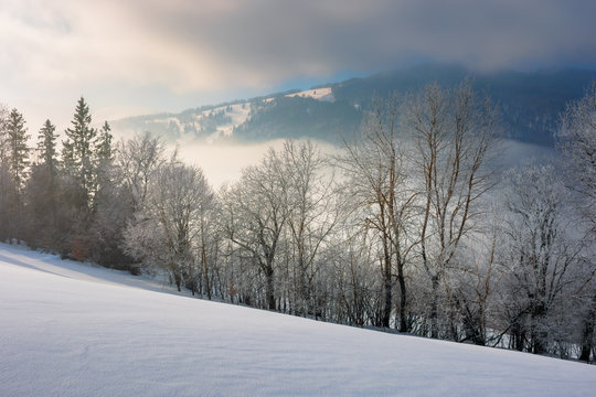 dramatic winter sunrise. trees in hoarfrost on a snow covered slope. clouds and mist floating in the valley. borzhava mountain ridge in the distance. amazing open vistas in gloomy frosty weather