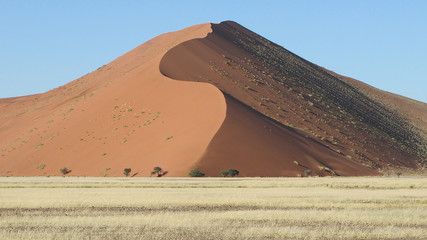 Fototapeta na wymiar Barkhan Dune