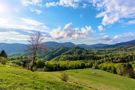 Carpathians countryside in springtime. wonderful sunny weather with dynamic cloud formations on the blue sky. forested rolling hill with rural fields in evening light. 