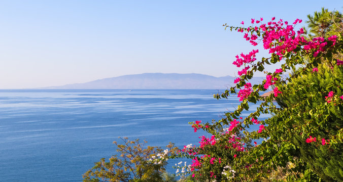 Purple bougainvillea flowers on the background of the sea and the island